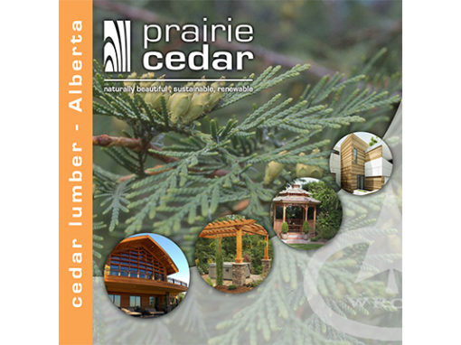 Prairie Cedar